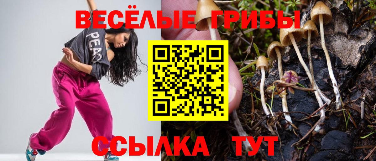 Псилоцибиновые грибы Magic Shrooms Бор
