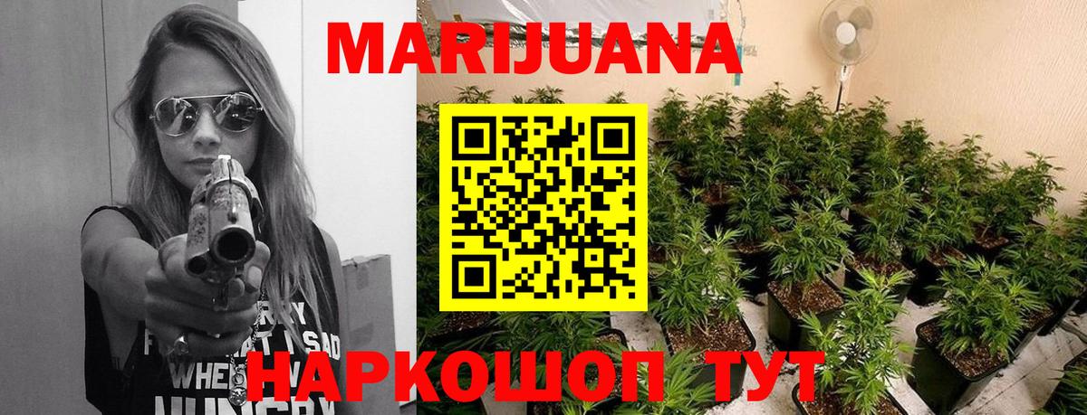 Канабис конопля Бор